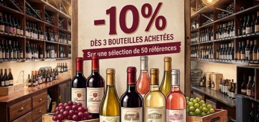 Foire aux vins 2026