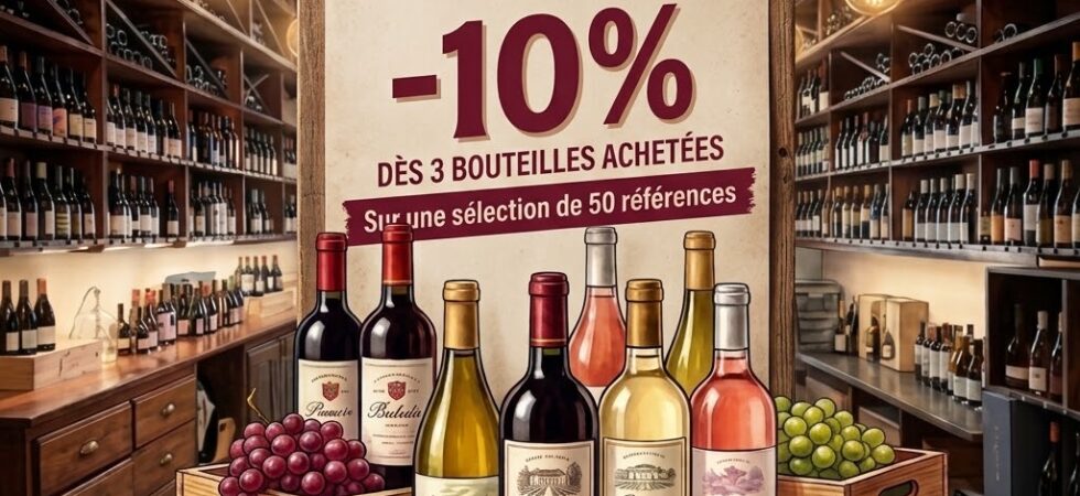 Foire aux vins 2026
